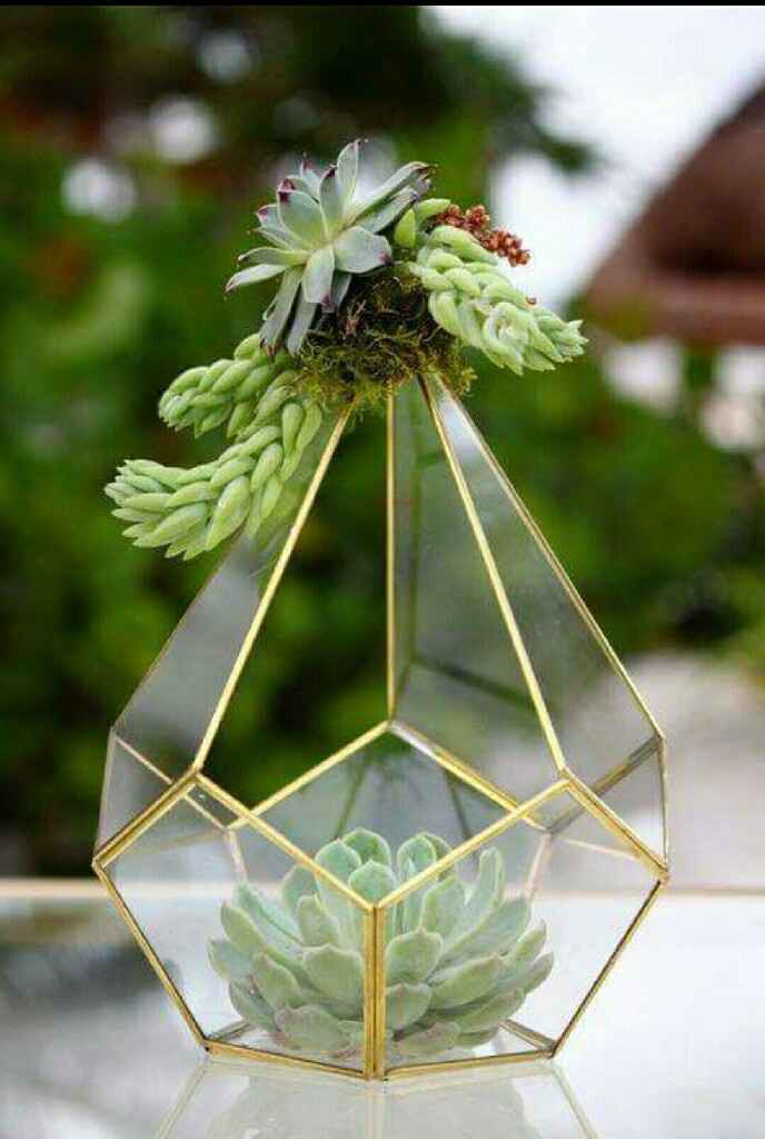 Plantitas en macetas de cristal!!!🌹🌸🌵 - 7