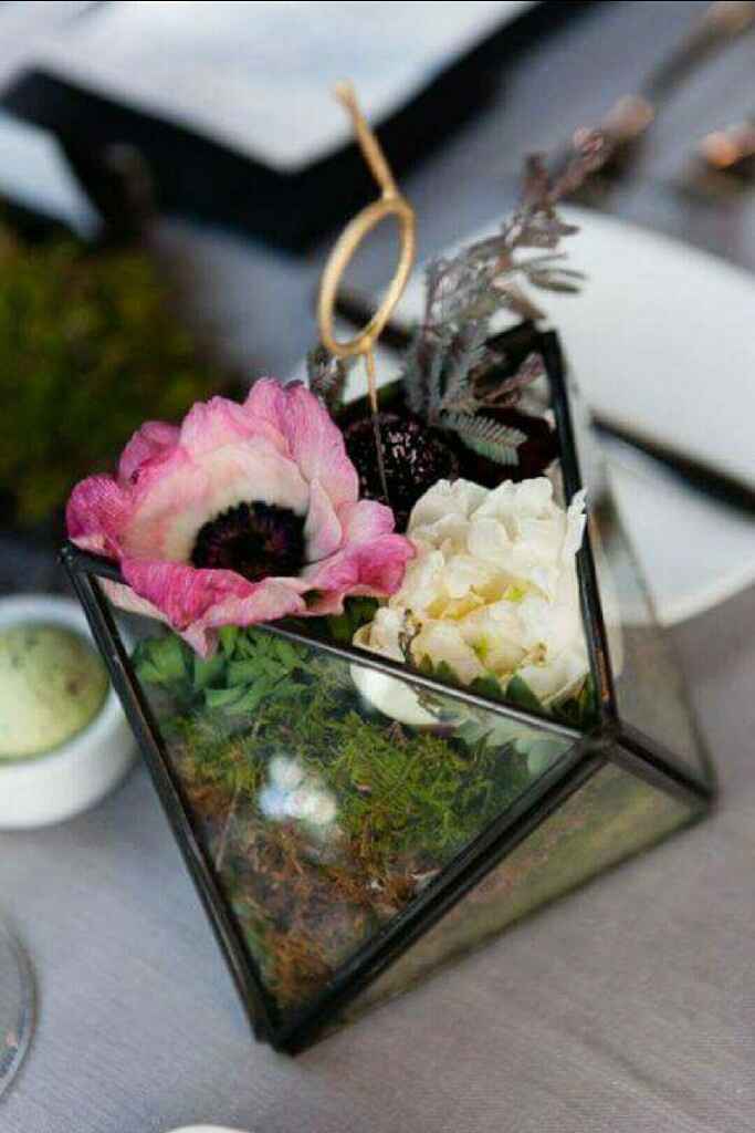 Plantitas en macetas de cristal!!!🌹🌸🌵 - 8