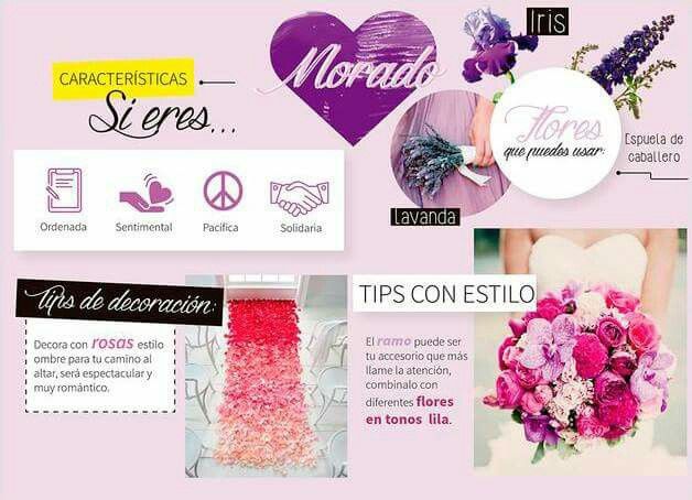 Que color son! - 10