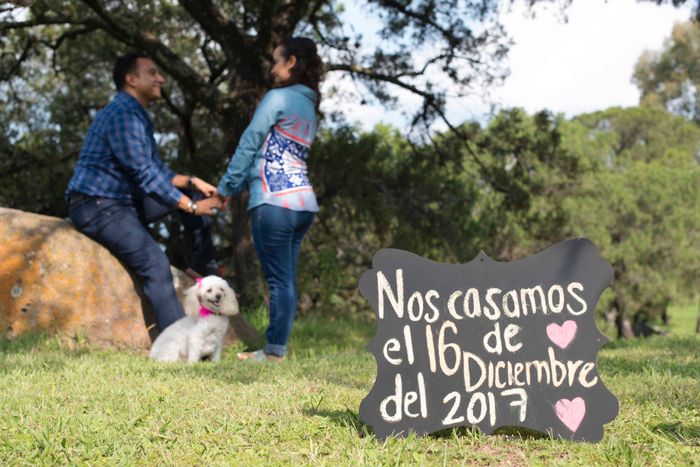  Fotos de nuestra sesión casual - 6