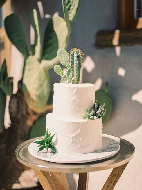 Boda en el desierto 🌵🐪 16
