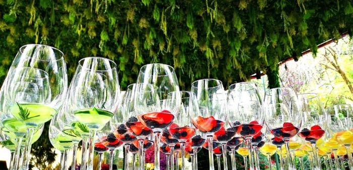 Mi Boda Revolucionaria  💍🇲🇽 2