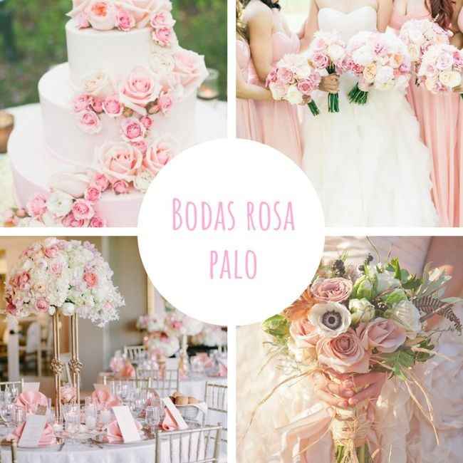 Boda 4