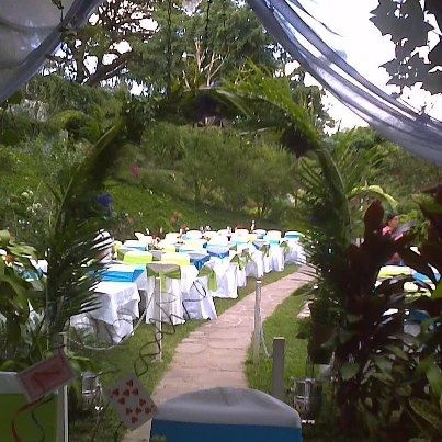 Boda temática: Alicia en el país de las maravillas.!