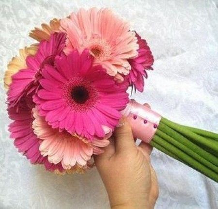 Boda temática: al estilo de Maria Antonieta.!