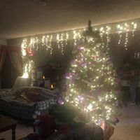 ¿Les gusta la navidad o son una pareja Grinch? - 1