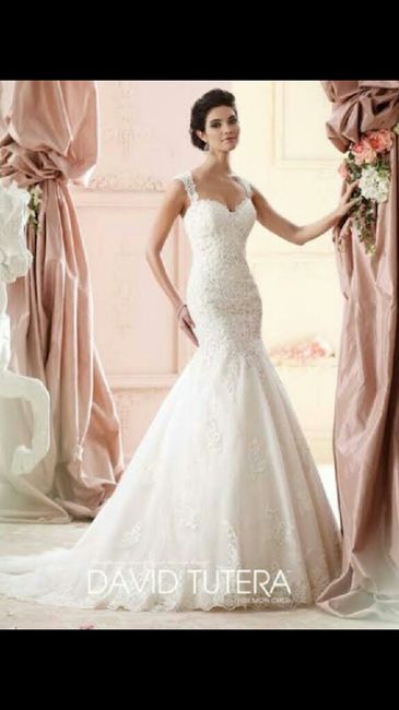 Si tu Fm tuviera que elegir tu vestido de boda.. 22