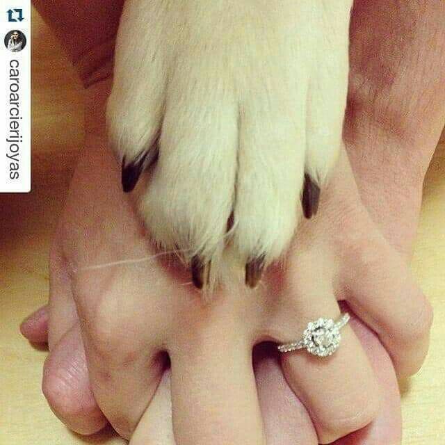 Ideas de fotos para presumir anillo de compromiso 💕 14