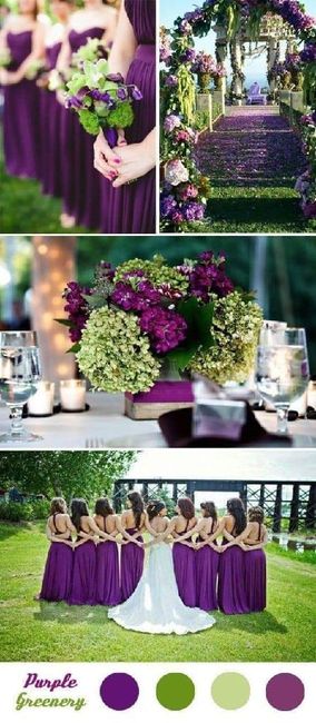 Tonalidad Morado 7