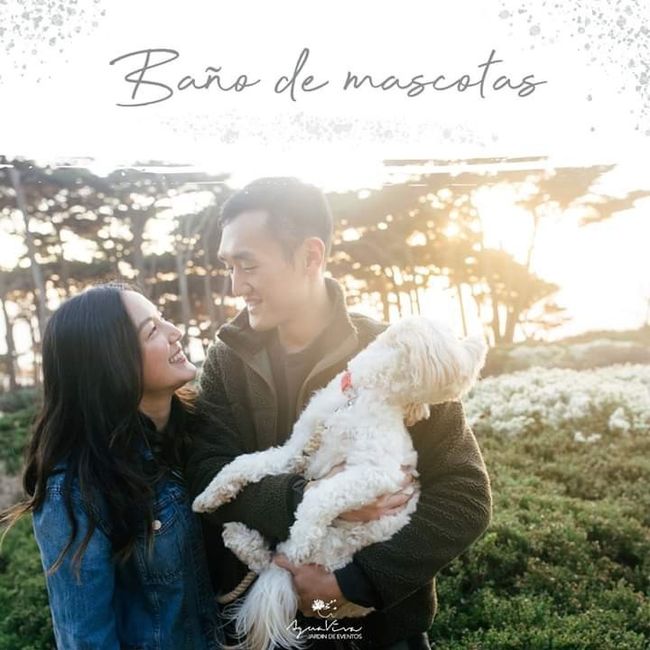 10 actividades en casa para compartir con el amor de tu vida ❤ 6