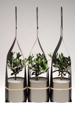 Ideas para recuerdos: plantitas🌿🌵💕 4