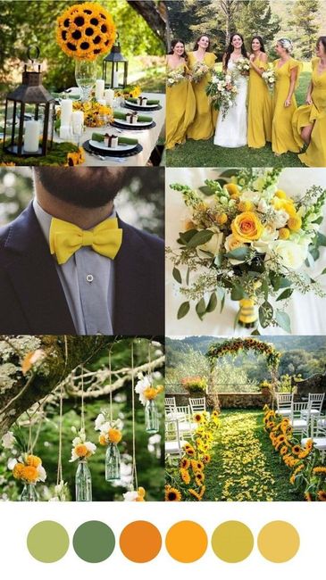 Elección de colores - 6