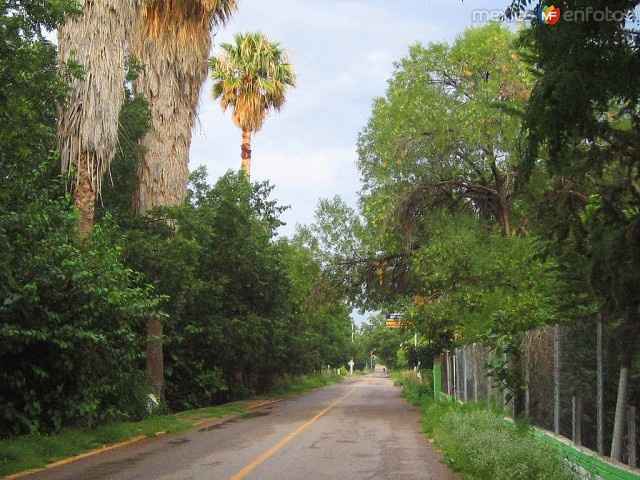 Calle de San Francisco de Conchos