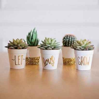 Ideas para recuerdos: plantitas. - 1