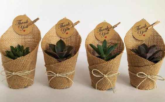 Ideas para recuerdos: plantitas. - 5