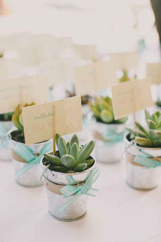 Ideas para recuerdos: plantitas. - 8