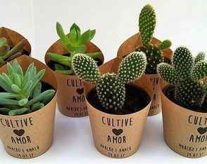 Ideas para recuerdos: plantitas. - 9