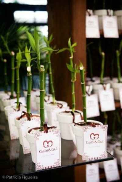 Ideas para recuerdos: plantitas. - 12