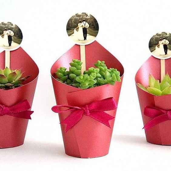 Ideas para recuerdos: plantitas. - 13