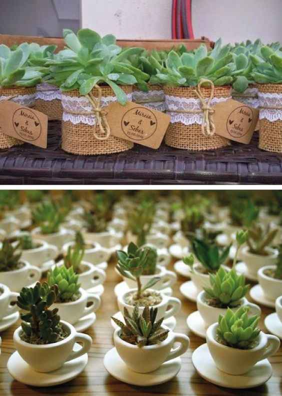 Ideas para recuerdos: plantitas. - 14