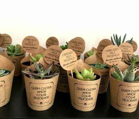 Ideas para recuerdos: plantitas. - 15