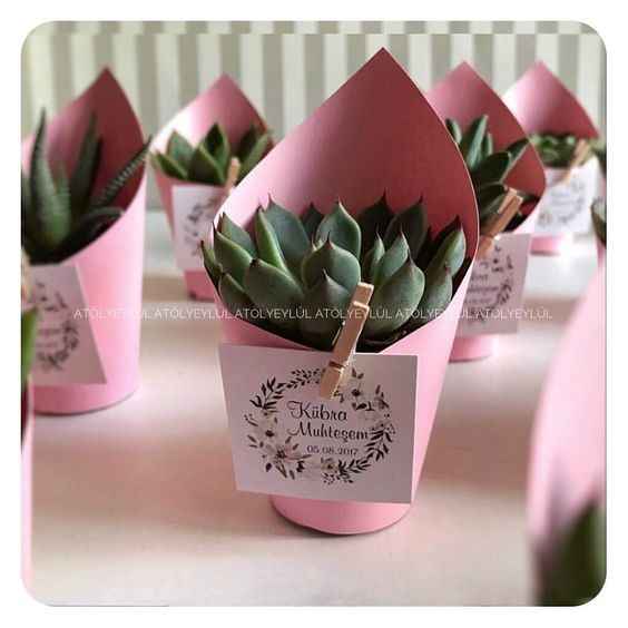 Ideas para recuerdos: plantitas. - 17