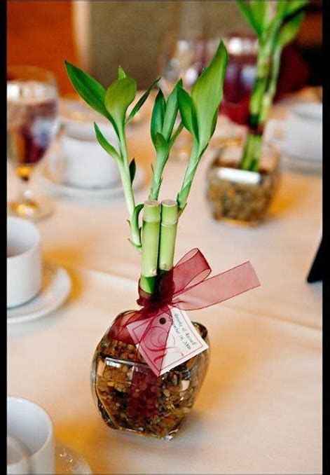 Ideas para recuerdos: plantitas. - 19