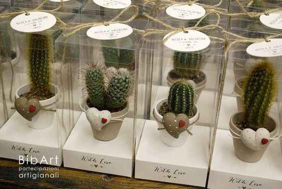 Ideas para recuerdos: plantitas. - 21