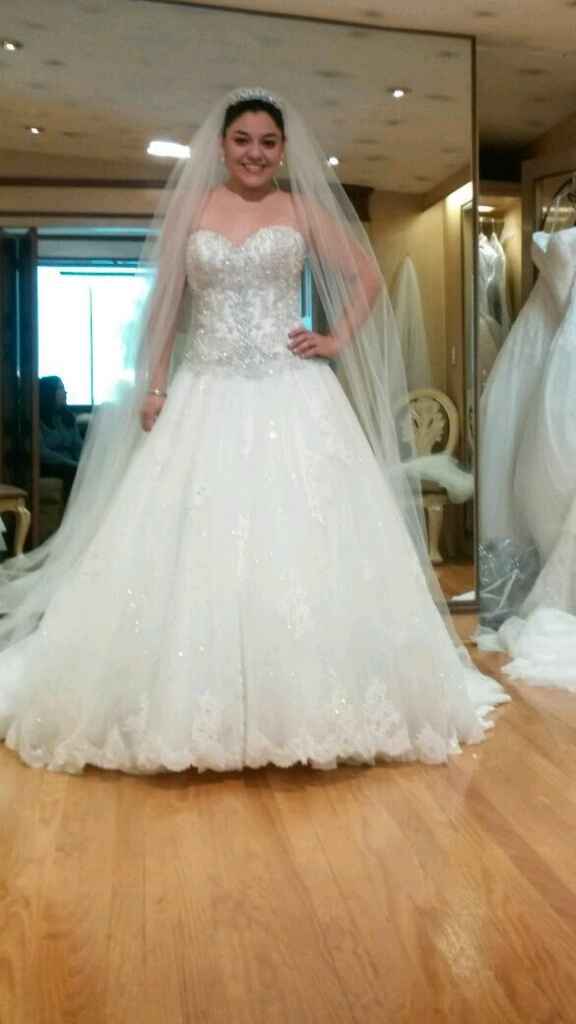Me enamore de el vestido - 2