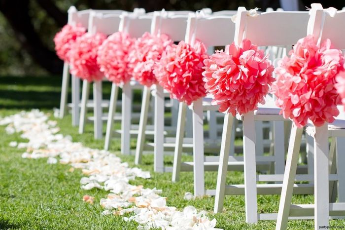 Decoración de ceremonia (pompones)  - 7