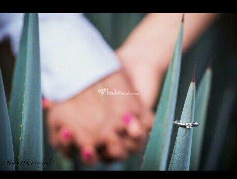 Fotos lindas con su anillo de compromiso - 2