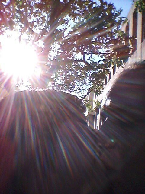 luz de amor