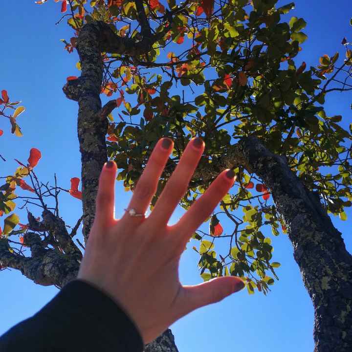 Les gustó su anillo de compromiso? - 1