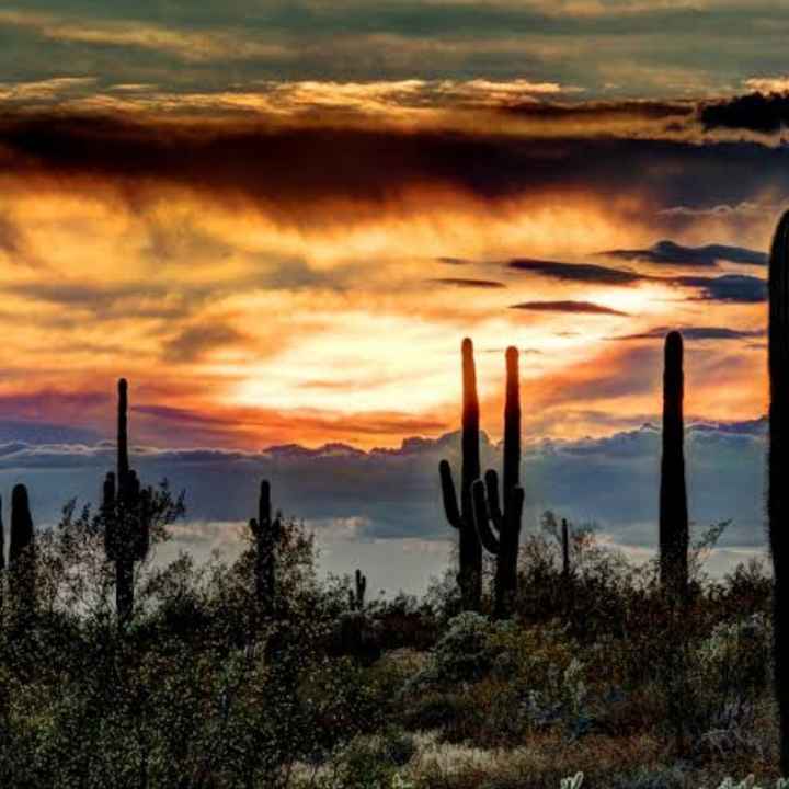 Sesión de fotos en Hermosillo - 2