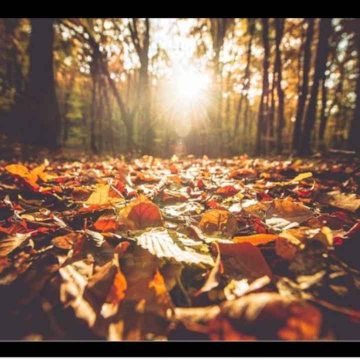 ¿Cuál es la mejor estación para disfrutar en pareja? - 1