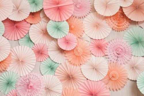 rosetones 