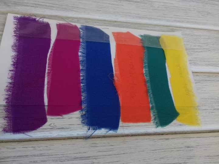 COLORES ELEGIDOS.