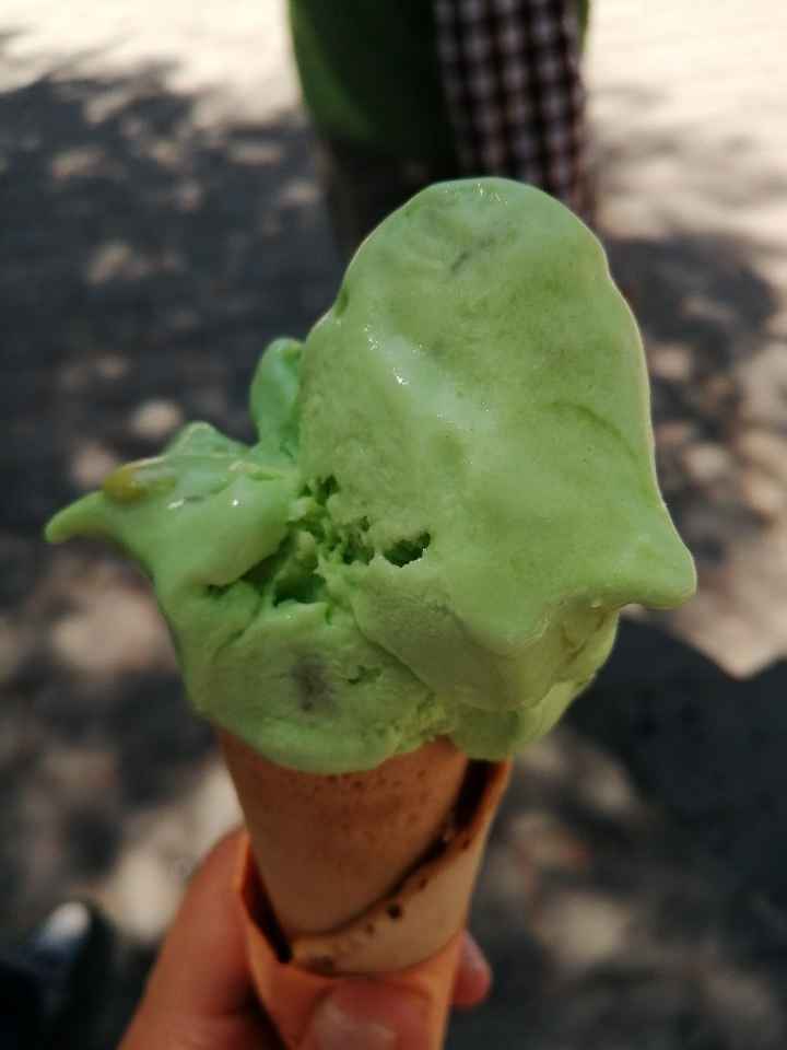 Primer viaje de casados: Dolores Hidalgo. - 7