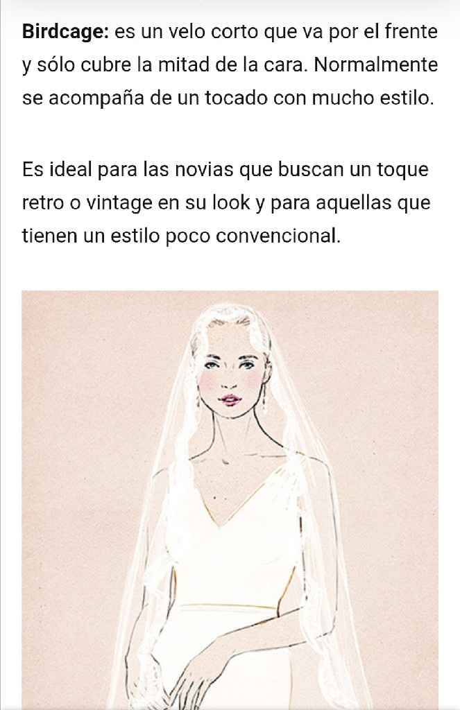 Guía para elegir el velo. - 12