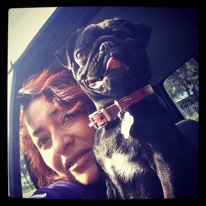 Mi perro es mi hijo!! - 1