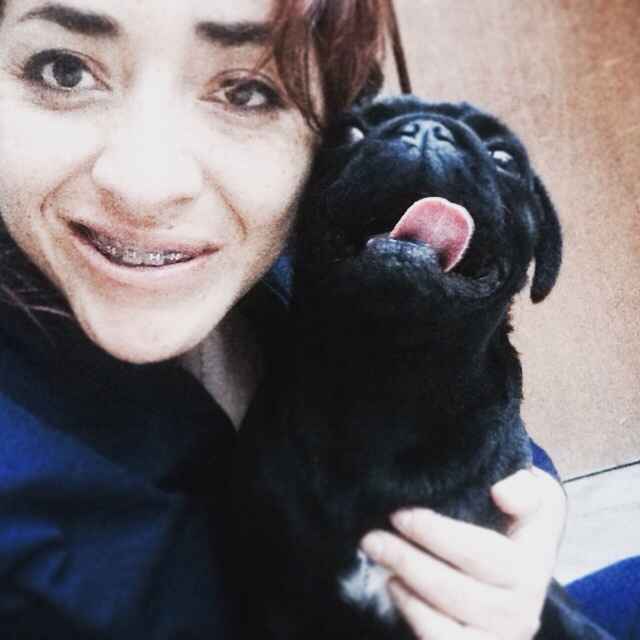 Conoce a mi mascota - 1