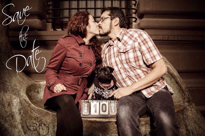 Mascotas en nuestra boda - 1