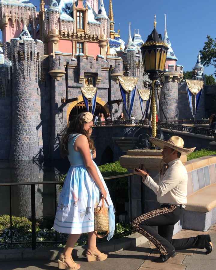 ¿Cómo fue la propuesta? - 1