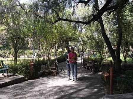 Anillo de Compromiso