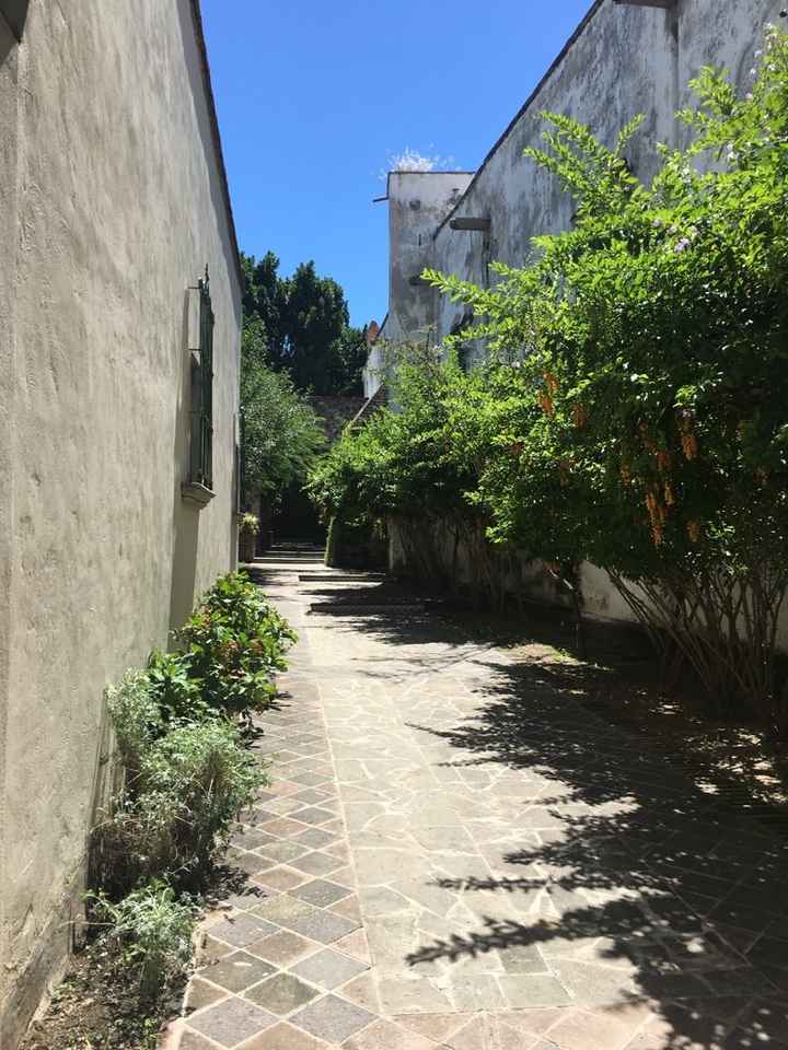 Visitando hacienda la labor de rivera - 5