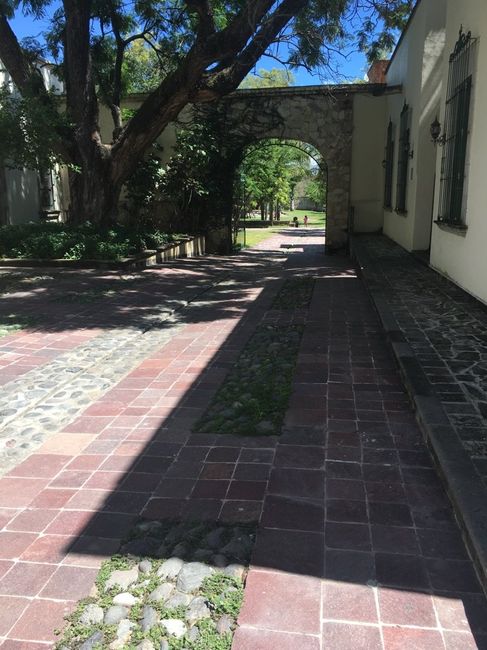 Visitando hacienda la labor de rivera - 3