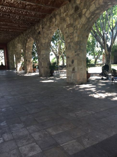 Visitando hacienda la labor de rivera - 7