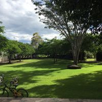 Visitando hacienda la labor de rivera - 9
