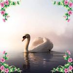 Esther