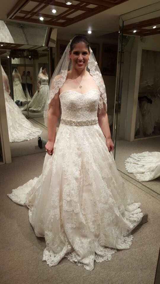 ¿Cómo será tu velo de novia? - 1